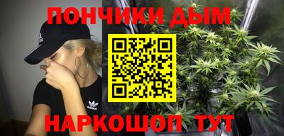 стафф Лесосибирск