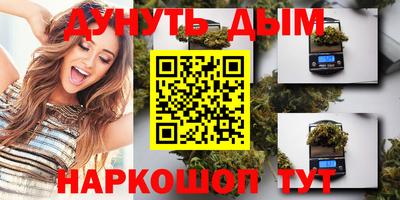стафф Лесосибирск
