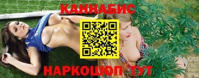 стафф Лесосибирск