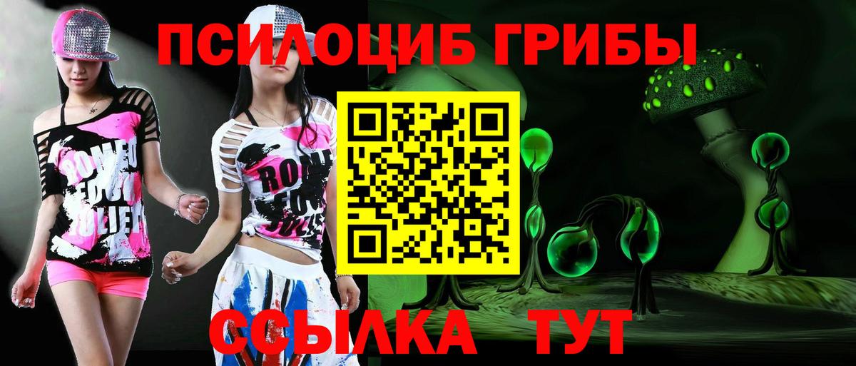 Галлюциногенные грибы MAGIC MUSHROOMS  Вход с VPN  Камень-на-Оби 